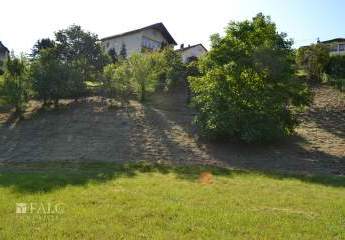 302743-Vorschaubild2