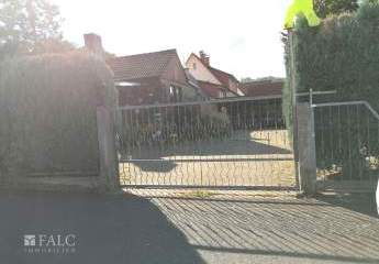 453553-Vorschaubild3