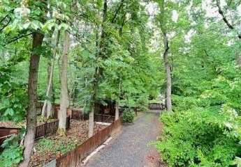 427369-Vorschaubild4