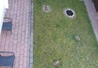 460507-Vorschaubild4