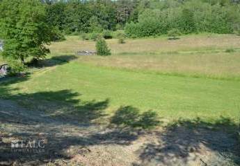 302743-Vorschaubild3