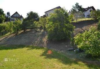 302743-Vorschaubild4