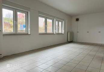 464885-Vorschaubild3