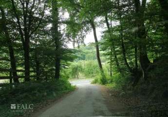 427369-Vorschaubild2