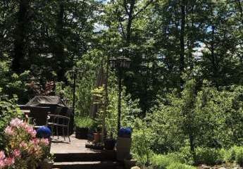 427369-Vorschaubild3