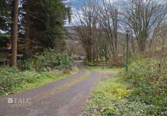 466873-Vorschaubild4