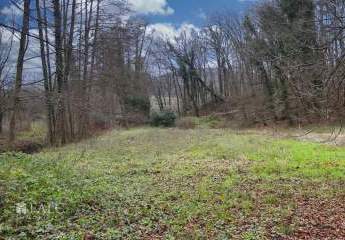 466873-Vorschaubild4