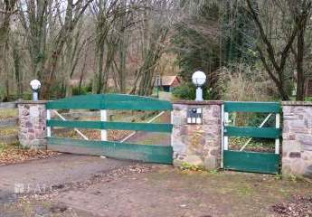 466873-Vorschaubild3