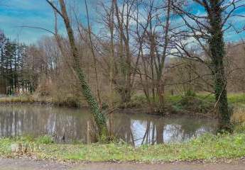 466873-Vorschaubild3