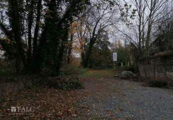 457386-Vorschaubild3