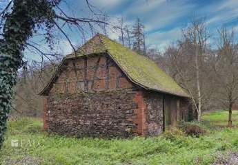 417002-Vorschaubild3