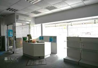 462542-Vorschaubild3