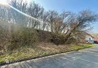 470947-Vorschaubild2