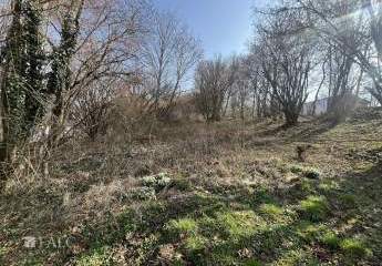 470947-Vorschaubild4