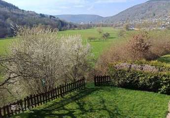 481052-Vorschaubild2