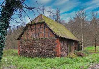 417002-Vorschaubild3