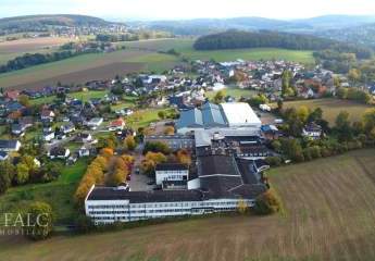 455984-Vorschaubild4