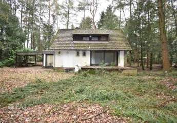 479952-Vorschaubild4