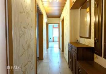 481691-Vorschaubild4