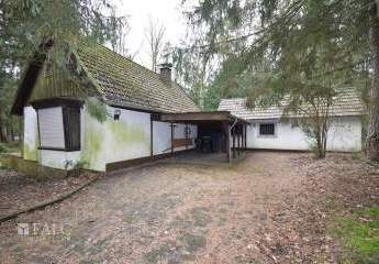 479952-Vorschaubild2