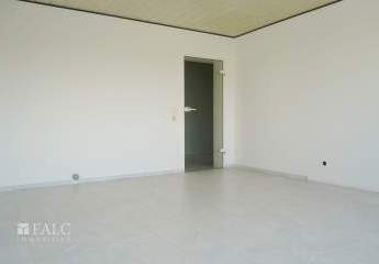 427636-Vorschaubild2