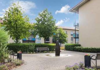 438584-Vorschaubild3