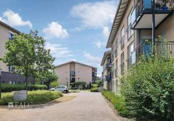 449326-Vorschaubild2