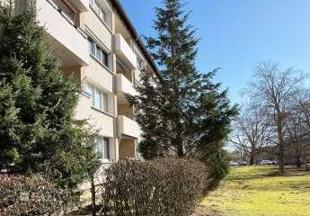 476335-Vorschaubild4