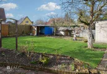 481814-Vorschaubild2