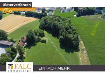 11.175 m² Freiheit – idyllisches Wohnen in Loiching/Wendelskirchen
