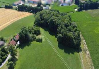 466601-Vorschaubild2