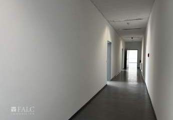 422885-Vorschaubild4