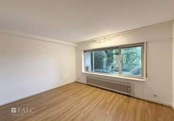 433525-Vorschaubild4