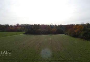 460098-Vorschaubild3