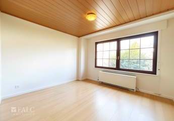 449087-Vorschaubild4