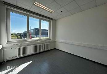 422885-Vorschaubild4