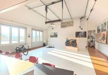 471942-Vorschaubild2