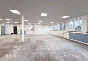 475781-Vorschaubild4