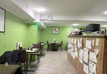 477498-Vorschaubild2