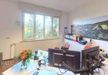 492468-Vorschaubild3