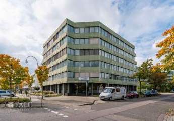 451264-Vorschaubild3