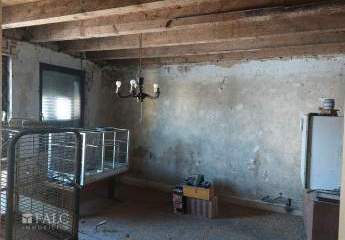 459542-Vorschaubild4