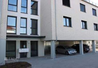 362179-Vorschaubild2
