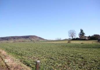 485471-Vorschaubild3