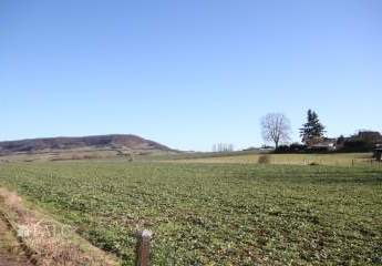 485471-Vorschaubild3