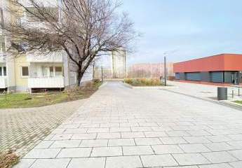 424240-Vorschaubild4