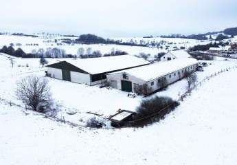 468555-Vorschaubild4