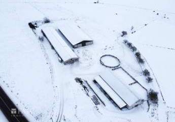 468624-Vorschaubild2