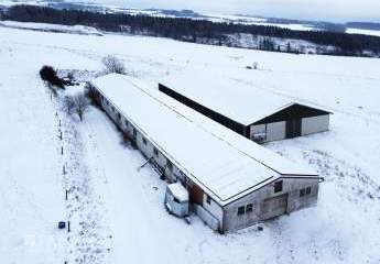 468624-Vorschaubild3