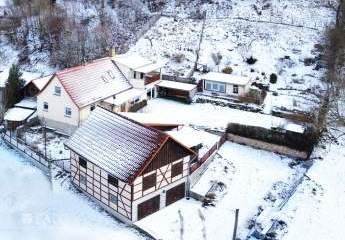 467061-Vorschaubild2